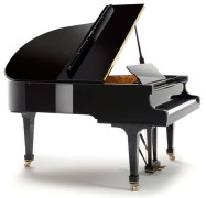 Fazioli Model F308 Grand Piano