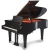 hailun piano serial number lookup