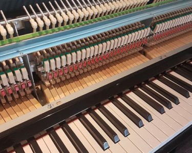 Are Hybrid Pianos the Next New Thing?