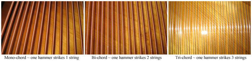 3 Types of Strings - Monochord Bichord and Trichord