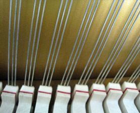  Cordes de piano en acier 