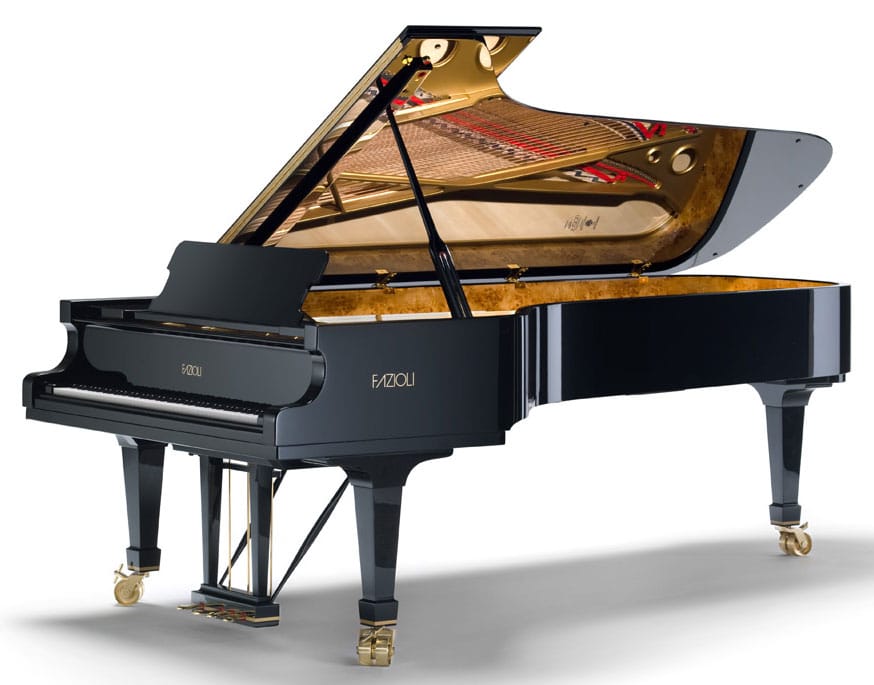 heelal Moreel onderwijs Verbinding verbroken Fazioli Model F308 Grand Piano