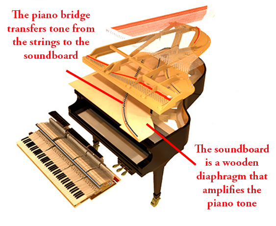 Piano-Soundboard-and-Bridge